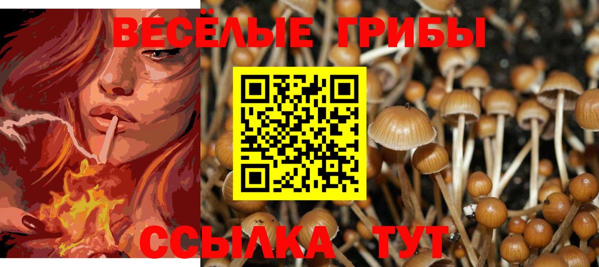 Сарапул  Галлюциногенные грибы мицелий  Вход с VPN 