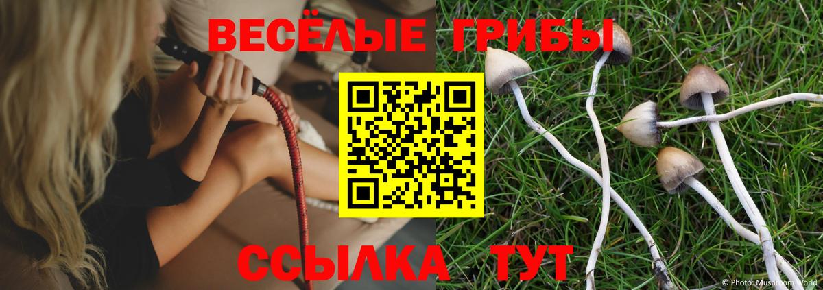 Галлюциногенные грибы ЛСД Сарапул